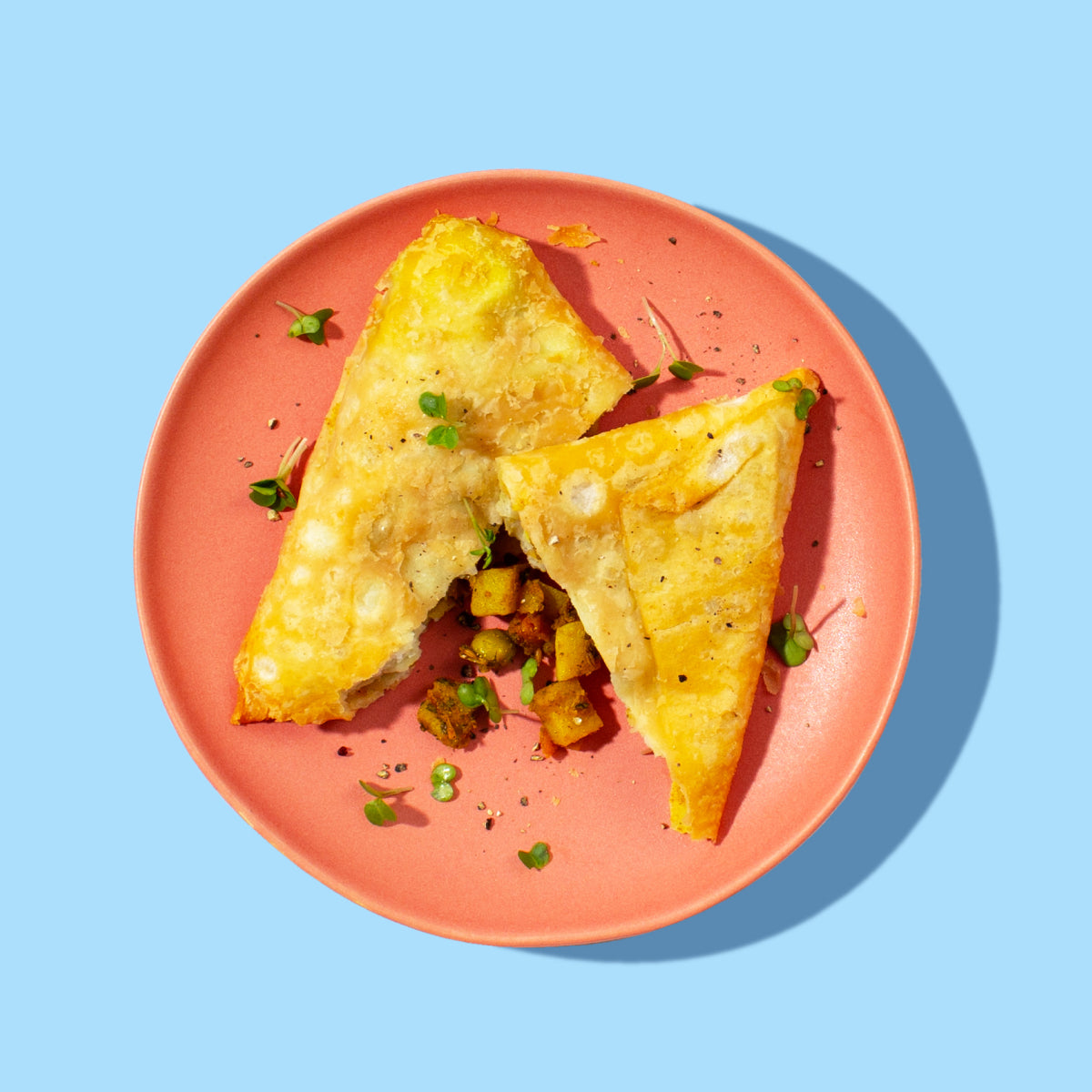 Jake & Nayns Bombay Vegetable Samosa 100g